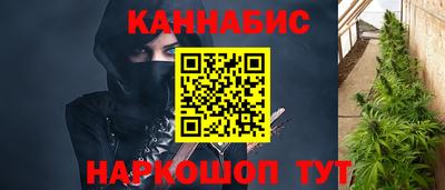 стаф Краснодар