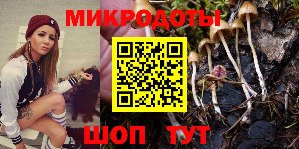Галлюциногенные грибы прущие грибы Донской
